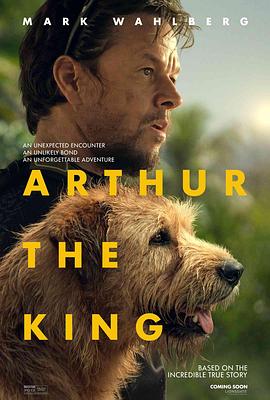 冠军亚瑟 Arthur the King