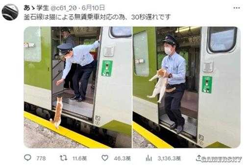 喵星人无票搭电车被列车员请下车 画面萌翻网友